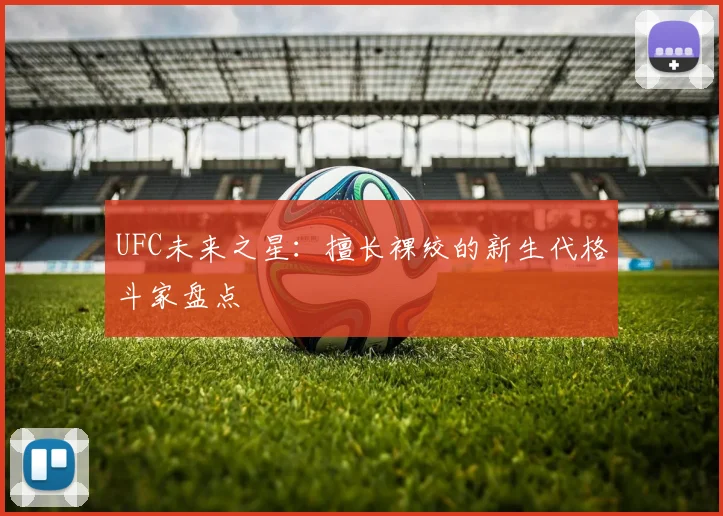 UFC未来之星：擅长裸绞的新生代格斗家盘点