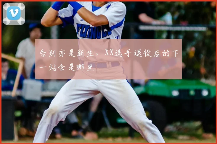 告别亦是新生，XX选手退役后的下一站会是哪里