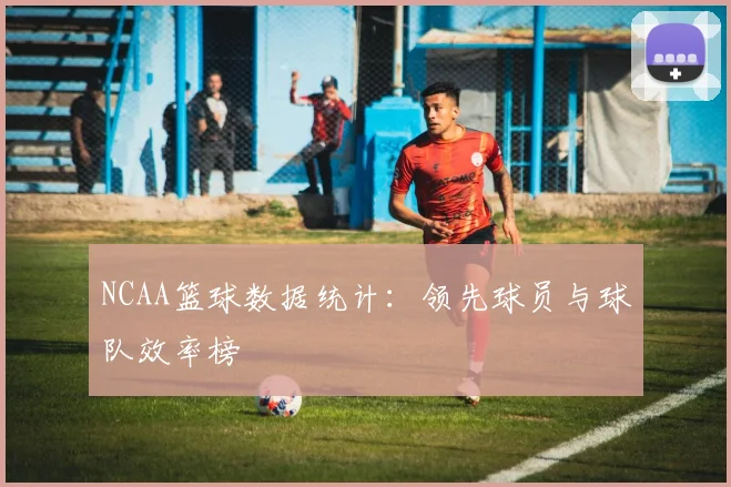 NCAA篮球数据统计：领先球员与球队效率榜