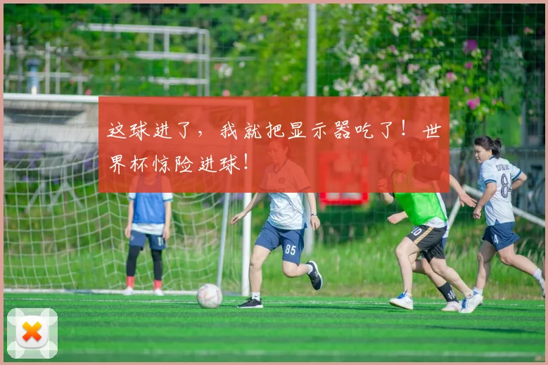 这球进了，我就把显示器吃了！世界杯惊险进球！