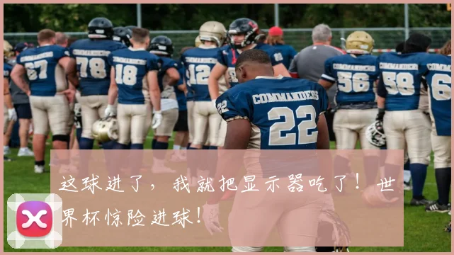 这球进了，我就把显示器吃了！世界杯惊险进球！